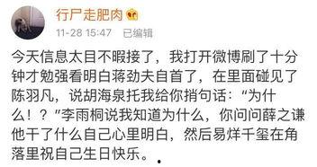 今日吃瓜全部视频最新版,最新视频版精彩回顾，揭秘娱乐圈幕后故事